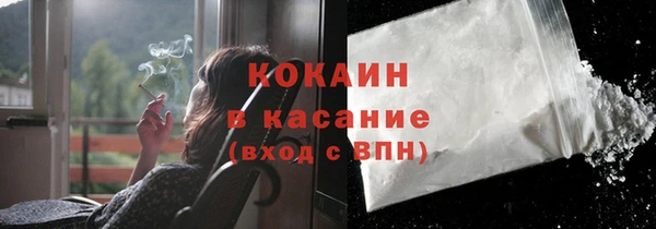 молекула духа Богородицк