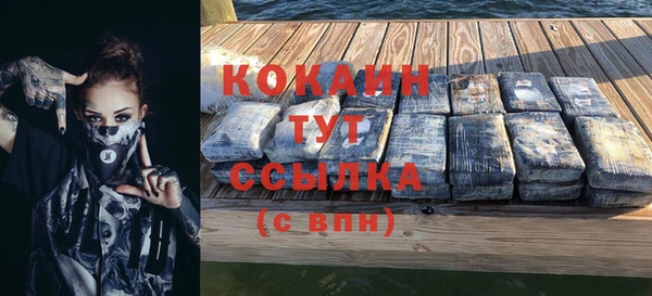 молекула духа Богородицк