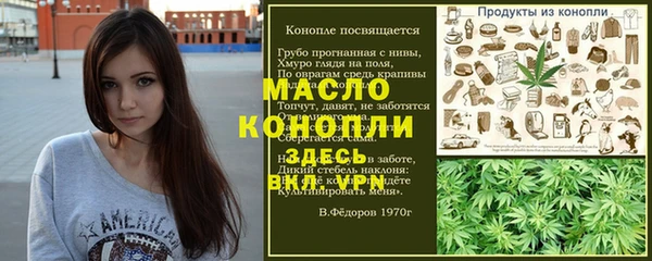 молекула духа Богородицк