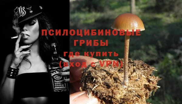 молекула духа Богородицк