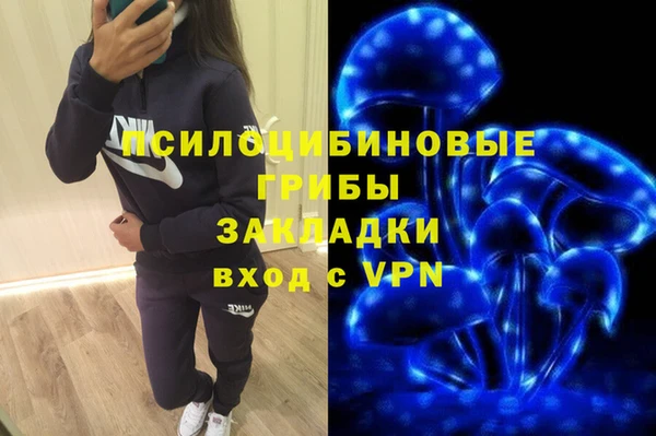 ГАЛЛЮЦИНОГЕННЫЕ ГРИБЫ Богородск