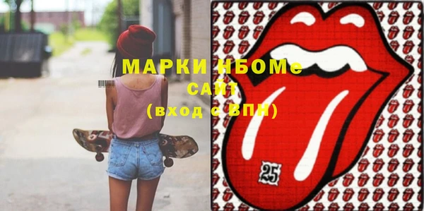 молекула духа Богородицк