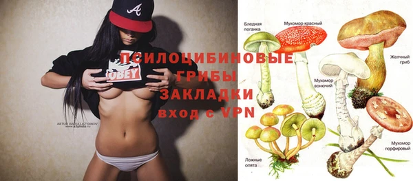 молекула духа Богородицк