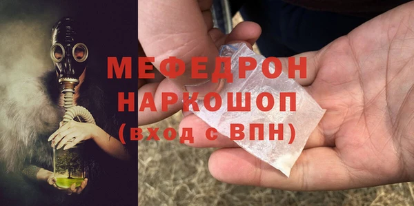 молекула духа Богородицк