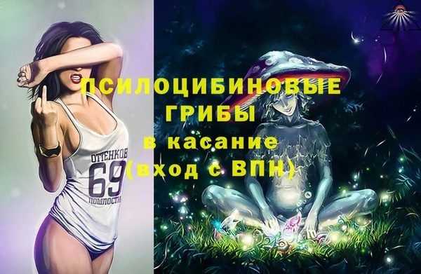 ГАЛЛЮЦИНОГЕННЫЕ ГРИБЫ Богородск