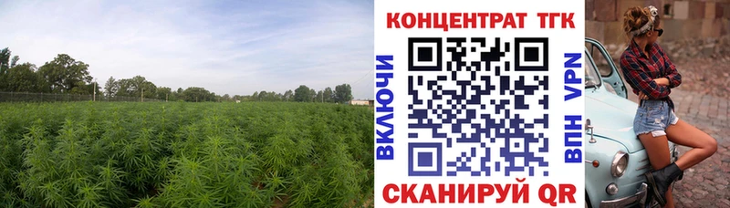 blacksprut ССЫЛКА Котельнич ТГК вейп